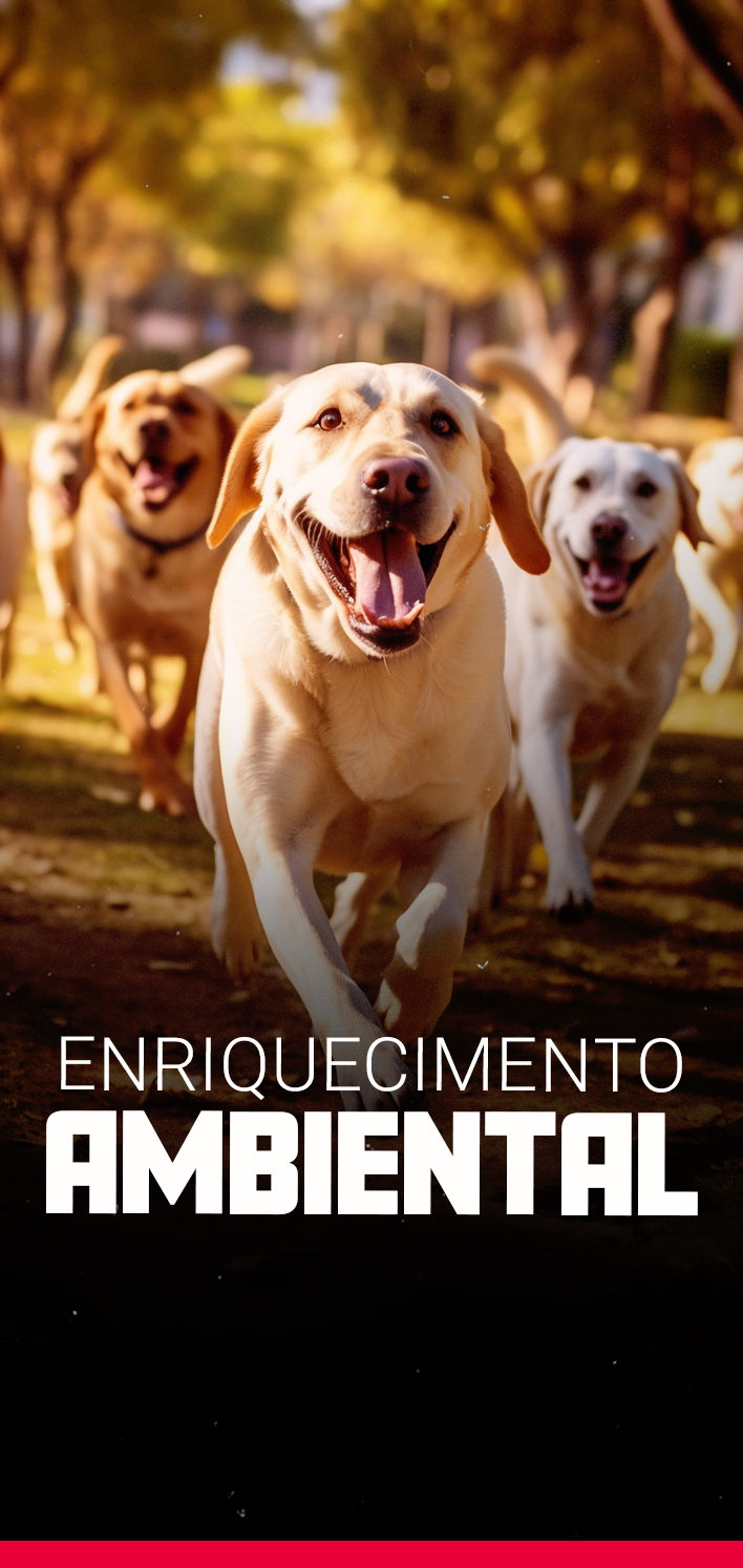 Enriquecimento ambientall