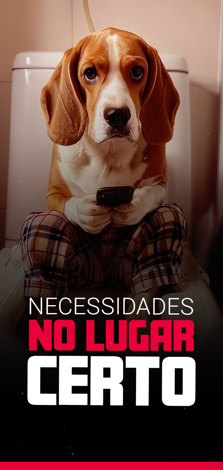 Necessidades no lugar certoo