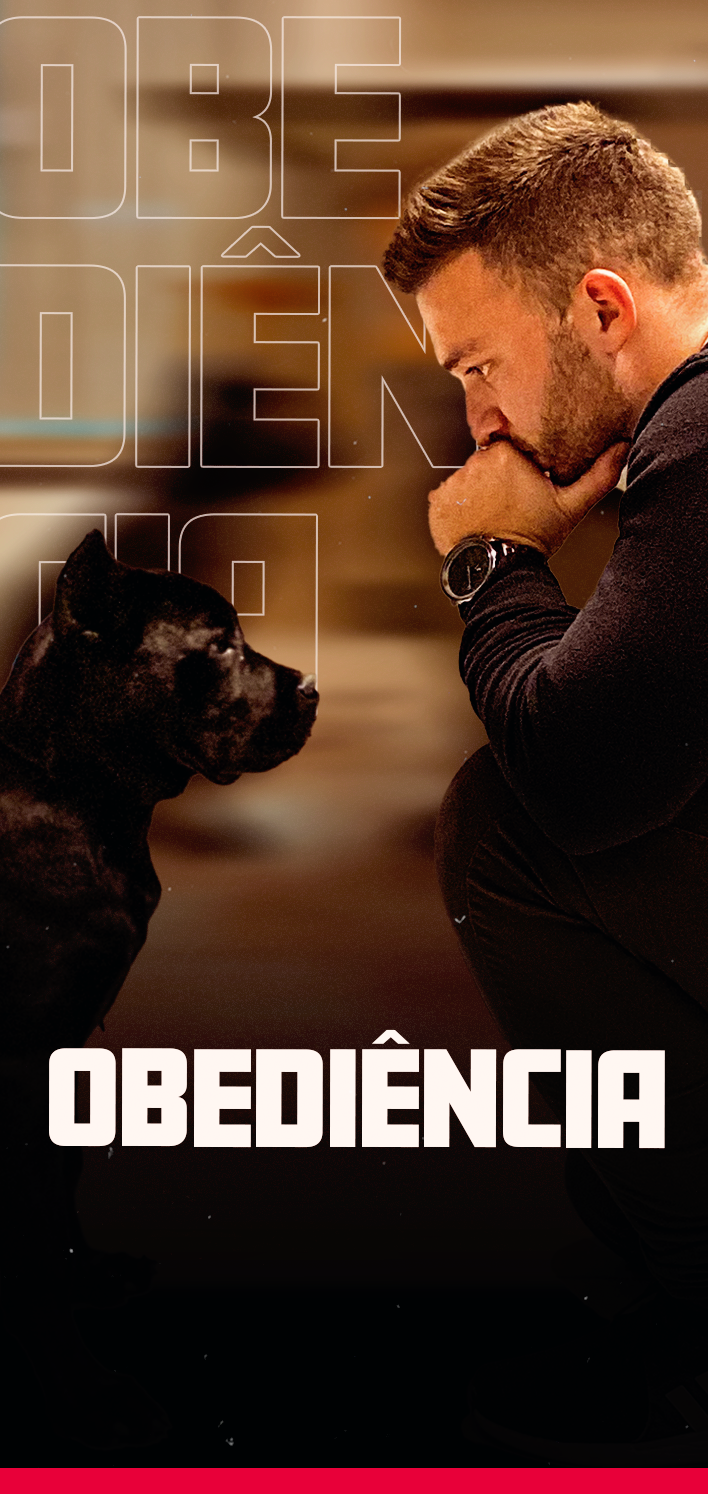 Obediênciaa