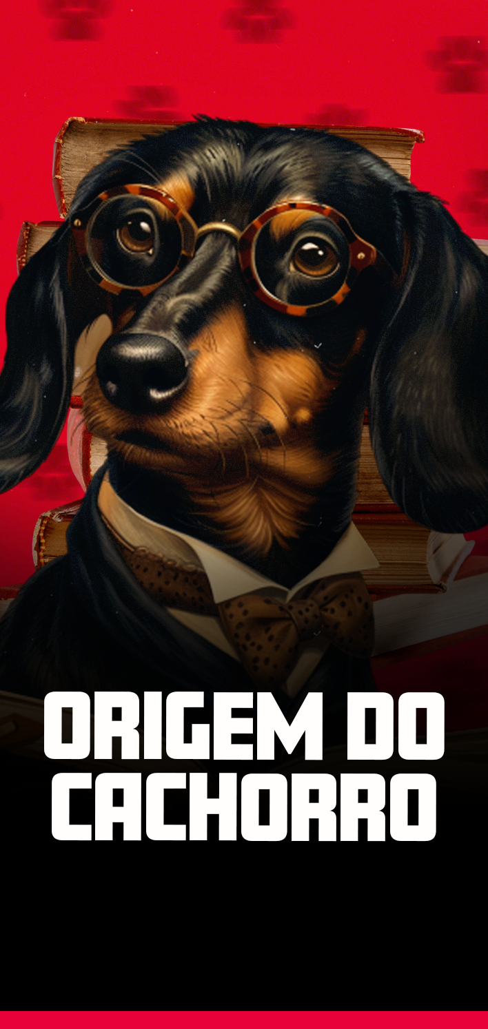Origem do cachorro