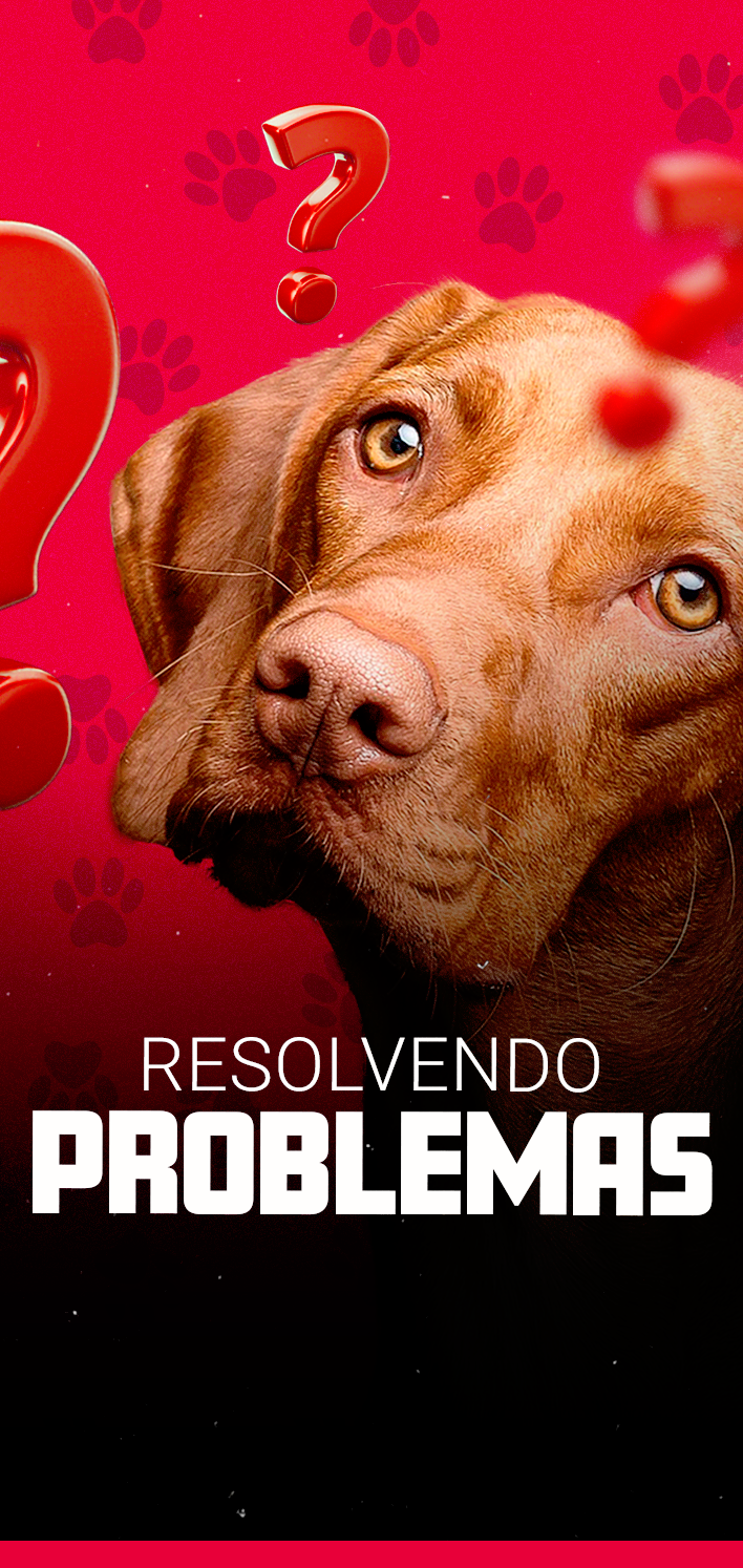 Resolvendo problemas