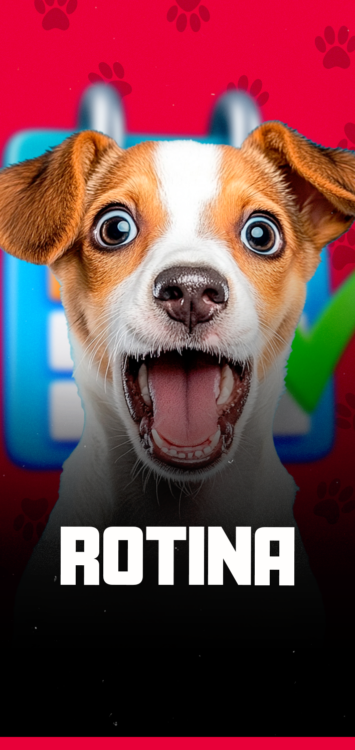 Rotinaa