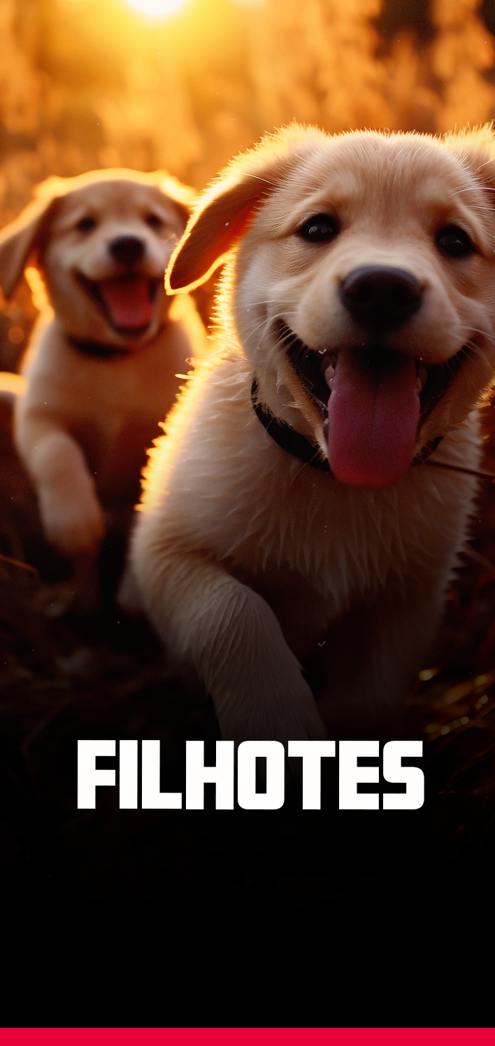 filhotes