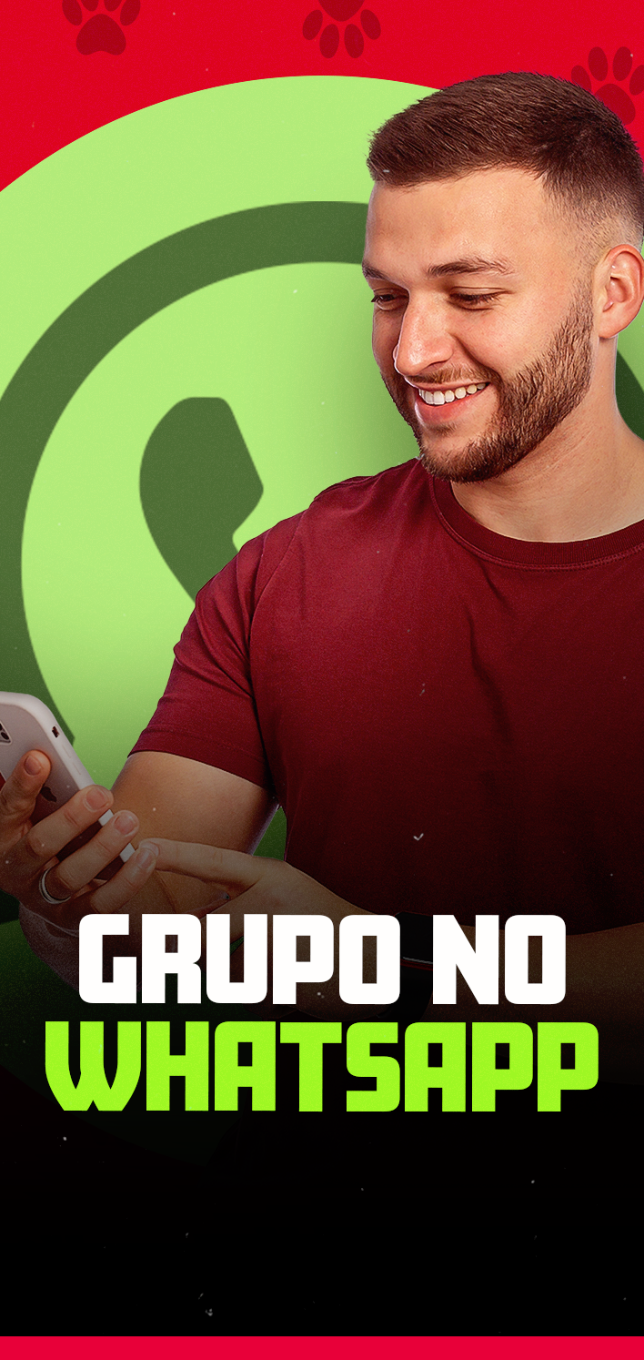 grupo no whatsapp