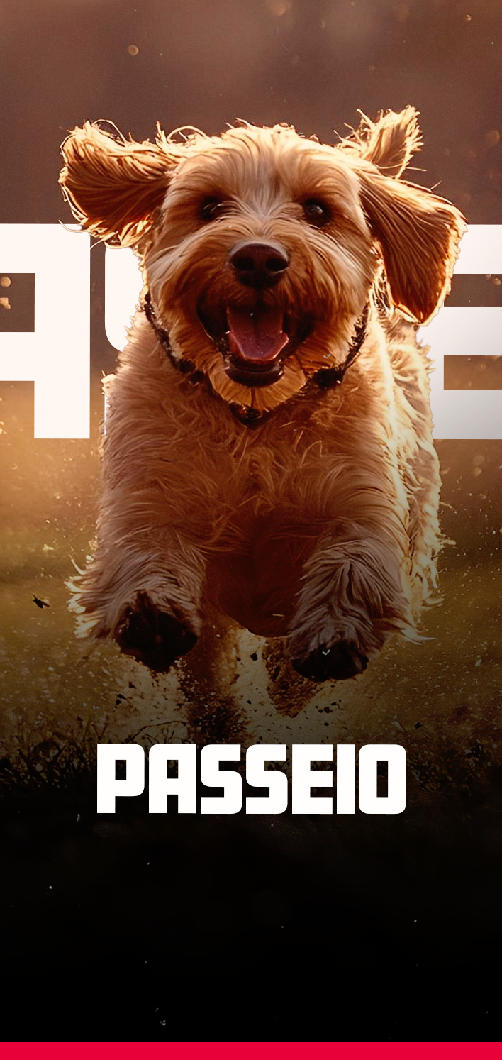 passeio
